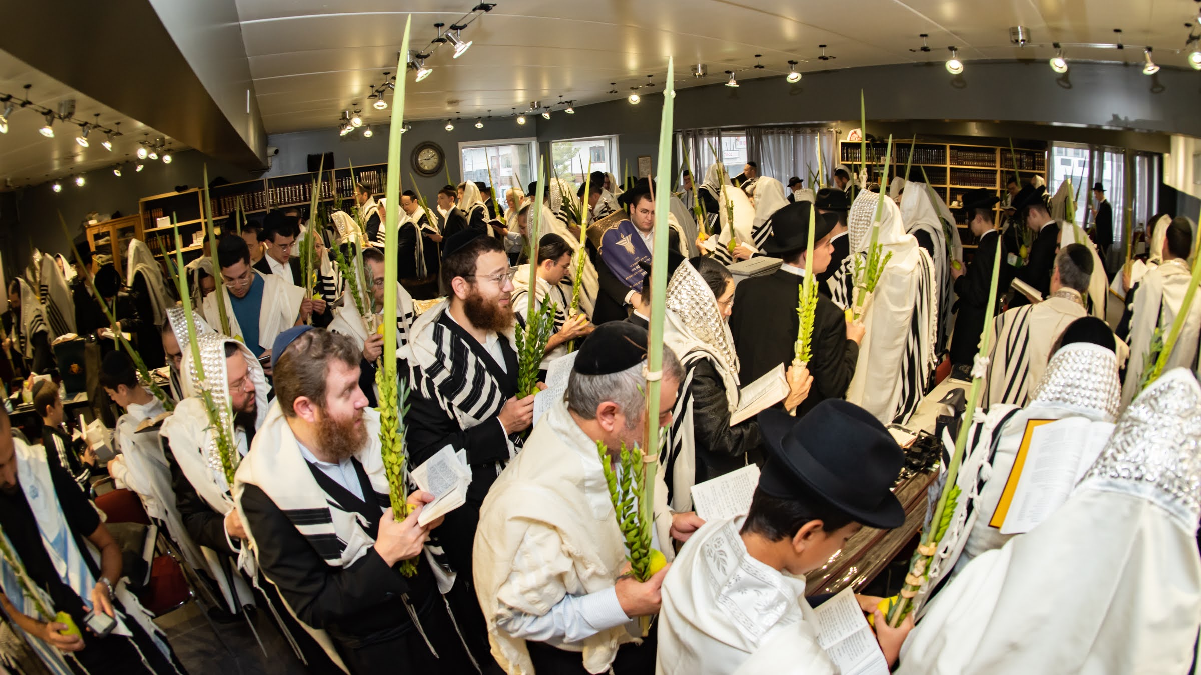 DSC_5249 Sukkot